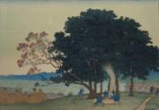 "Isogo" (Camphor trees)
