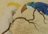 Exotic Birds  (ARTS AND CRAFTS)