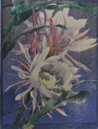 "Night Blooming Cereus #3" (ARTS AND CRAFTS)