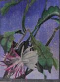 "Night Blooming Cereus #1"(ARTS AND CRAFTS)
