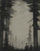 Tall Pines  (ARTS AND CRAFTS)