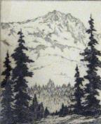 Mountain Slope with Pines  (ARTS AND CRAFTS)