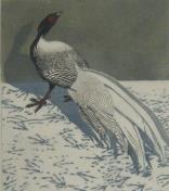 "Silver Pheasant"  (ARTS AND CRAFTS)