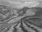 "Ploughed Fields"