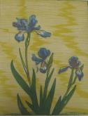 "Flower Study - Iris"  (ARTS AND CRAFTS)