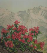 Mountain Flowers  (ARTS AND CRAFTS) 