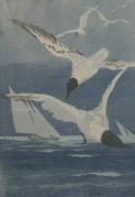 Seagulls and Sailboat (ARTS AND CRAFTS)