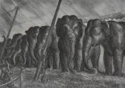 "Circus Elephants" 