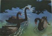 "Black Swans"  (ARTS AND CRAFTS)