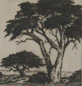 Cypress Trees   (ARTS AND CRAFTS)