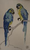 Two Parrots  (ARTS AND CRAFTS)