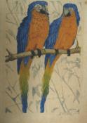 "2 Blauflugel Ara" (Two Blue Parrots)  (ARTS AND CRAFTS)