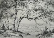 "Windblown Birches"  (ARTS AND CRAFTS)